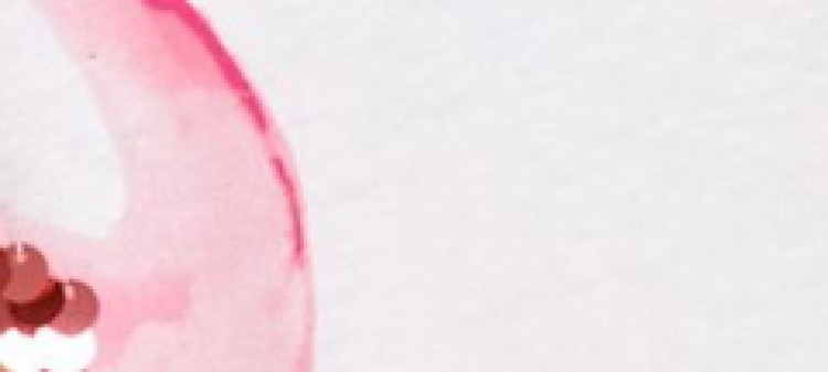 T-shirt damski z cekinami, z flamingiem