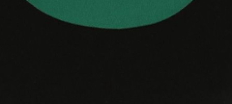 Sukienka bez rękawów z lampasem