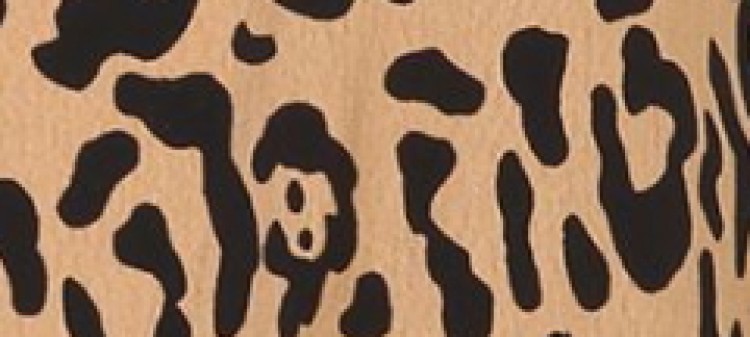 Bluzka w panterkę z długim rękawem