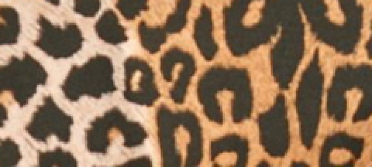 Bluzka długi rękaw damska z golfem i wykończeniem dołu i rękawów na gumkach Bluzka długi rękaw damska z golfem i wykończeniem dołu i rękawów na gumkach