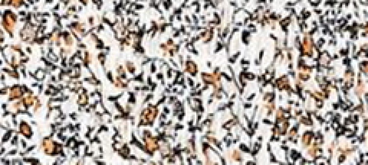 Bluzka w kwiaty z marszczeniami i wiązaniem na rękawie Bluzka w kwiaty z marszczeniami i wiązaniem na rękawie