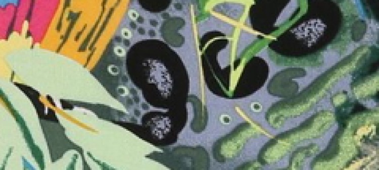 Bluzka krótki kimonowy rękaw z ozdobnymi tasmami