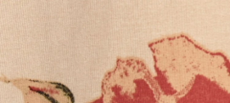 Nierozpinana bluza damska z nadrukiem w kwiaty