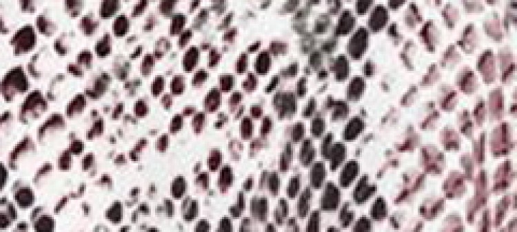 Luźna bluzka w wężowy wzór, z wiązanymi ramiączkami