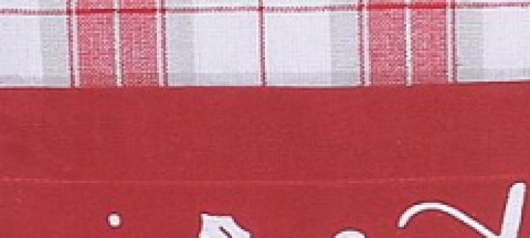  fartuch świąteczny  w kratkę