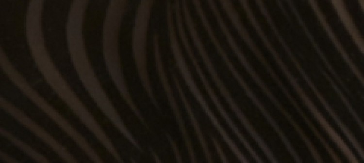 Dopasowana bluzka z długim rękawem