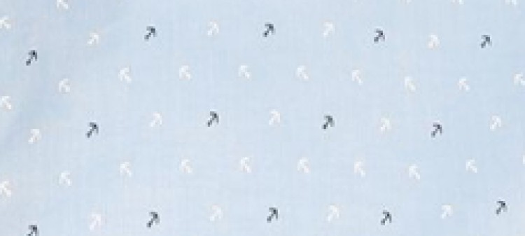 Koszula z jakości oksford z nadrukiem