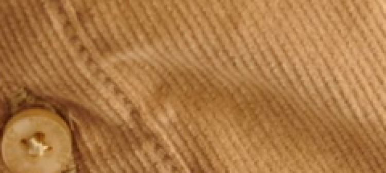 Taliowana koszula z drobnego sztruksu