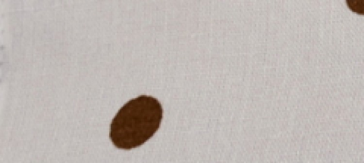 Biała koszula damska w kropki