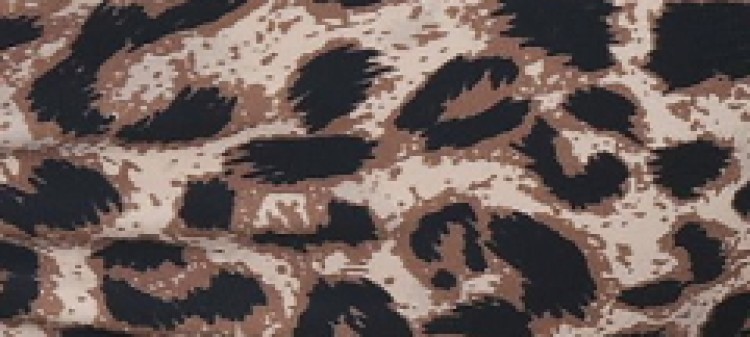 Góra kostiumu kąpielowego w panterkę