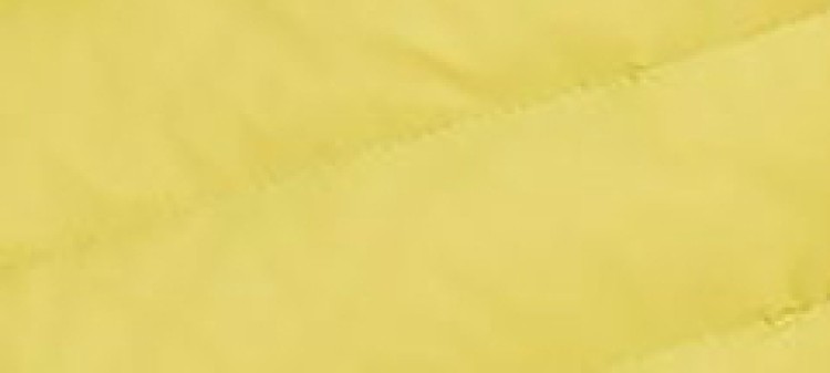 Kurtka męska pikowana z naturalnym puchem