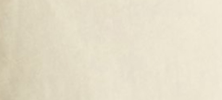 Parka damska ze ściągaczem w talii