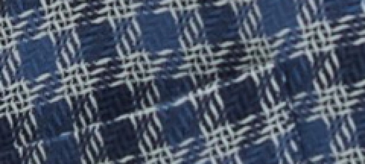 Marynarka męska w kratę