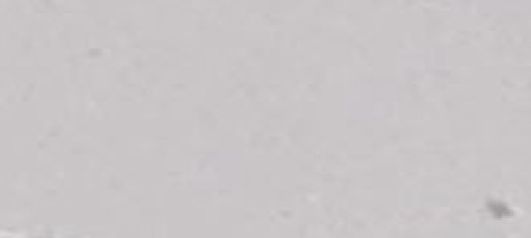 Naszyjnik z papugą z regulowanym zapięciem