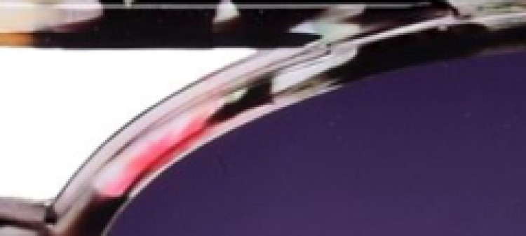 Okulary przeciwsłoneczne damskie z oprawkami w kwiaty