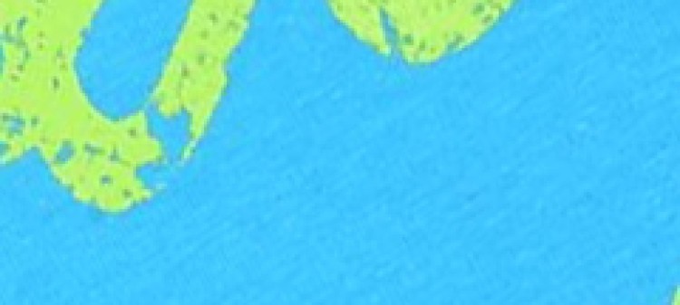 T-shirt bez rękawów z nadrukiem