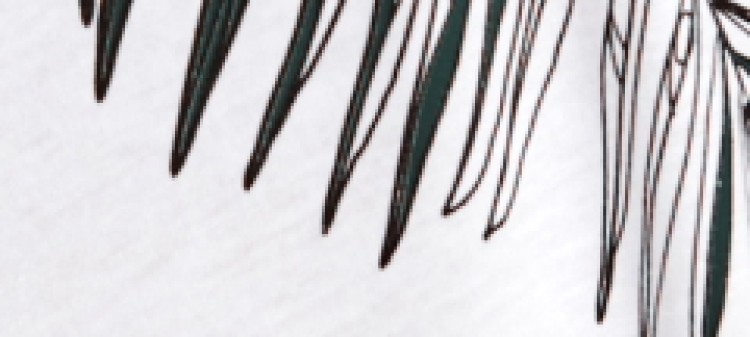 T-shirt damski z roślinnym nadrukiem