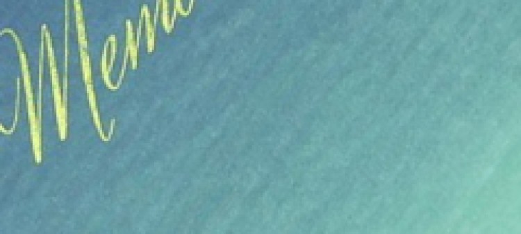 T-shirt krótki rękaw damski ombre z nadrukiem