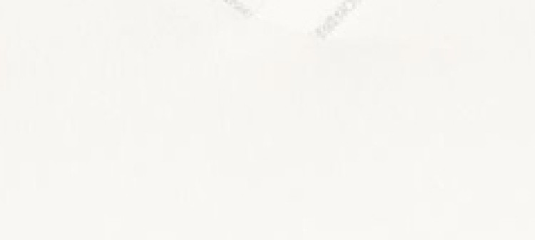 Gładki t-shirt damski z dekoltem w serek Gładki t-shirt damski z dekoltem w serek