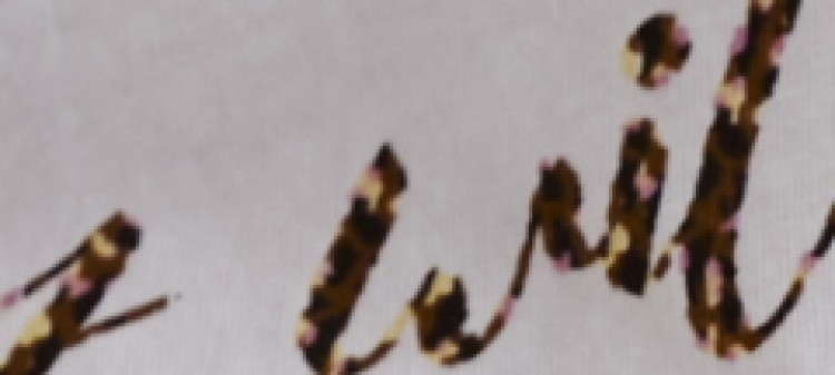 Bawełniany t-shirt z napisem