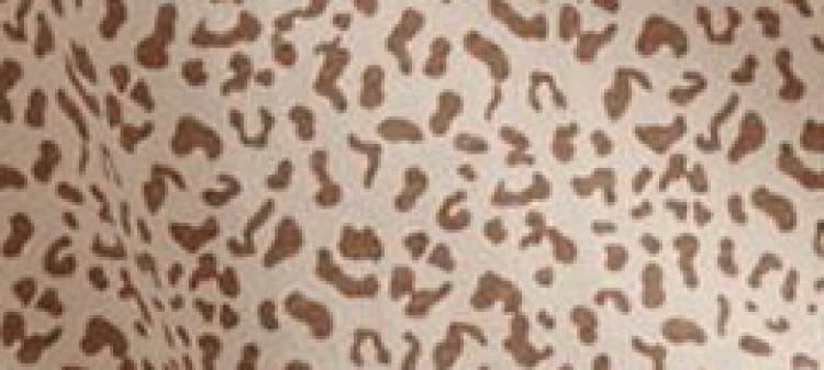 Piżama damska, komplet krótkie szorty i koszulka