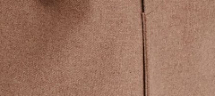 Klasyczny płaszcz z kołnierzem z tkaniny z domieszką wełny