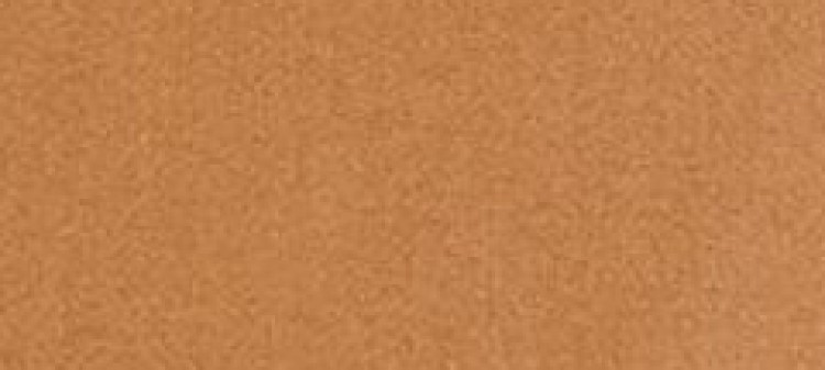 Trencz z wiązaniem w pasie