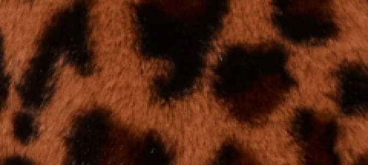 Płaszcz ze sztucznego futra w panterkę