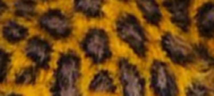 Rękawiczki damskie w cętki