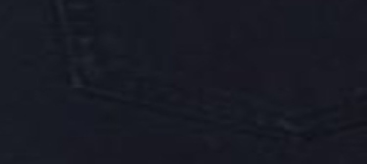 Spodnie damskie slim z haftem z koralikami Spodnie damskie slim z haftem z koralikami