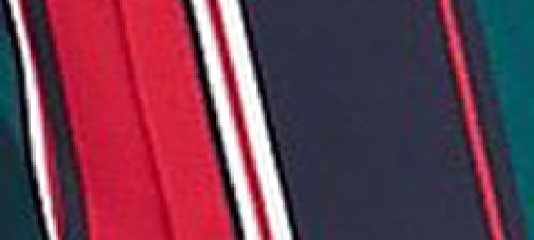 Eleganckie spodnie damskie w modne pasy