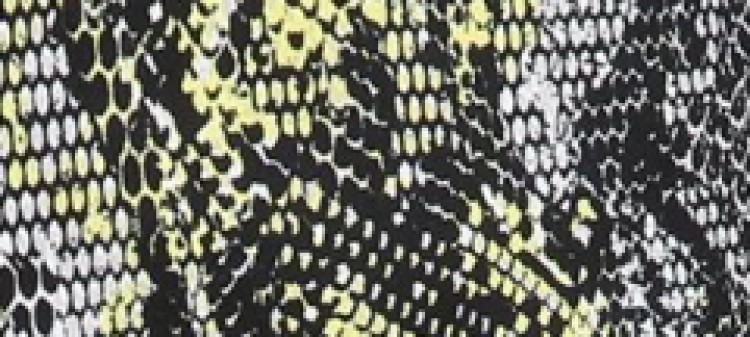 Printowane spodnie damskie Printowane spodnie damskie