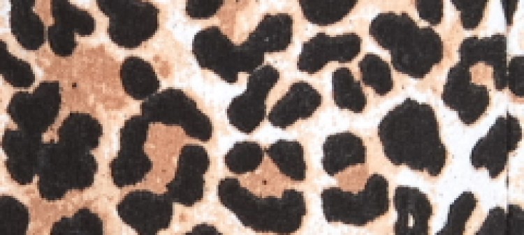 Spodnie dresowe damskie w panterkę