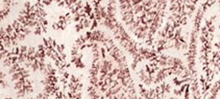 Plisowana sukienka z wiązaniem