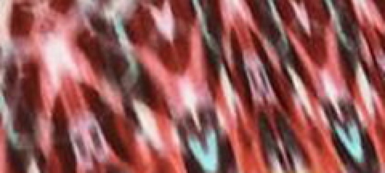 Sukienka z dekoltem halter w kolorowy nadruk Sukienka z dekoltem halter w kolorowy nadruk