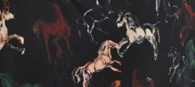 Sukienka z bufiastymi rękawami, z nadrukiem w konie