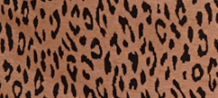 Dzianinowa sukienka mini ze zwierzęcym printem