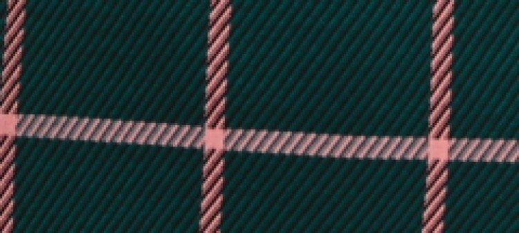 Dopasowana sukienka w kratę