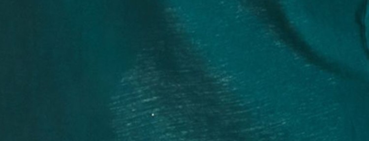 Sukienka damska Sukienka damska