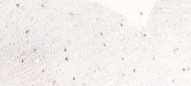 Sweter w serek z drobnymi cekinami