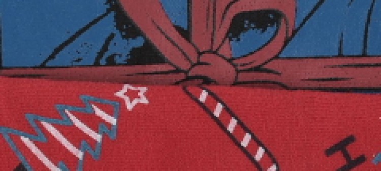 Komplet 2 bokserek z motywem świątecznym