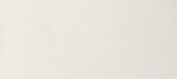 Wydłużona marynarka z podwiniętymi rękawami